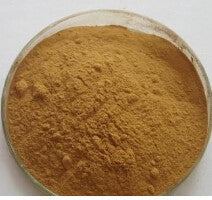 Phellinus Linteus Extract