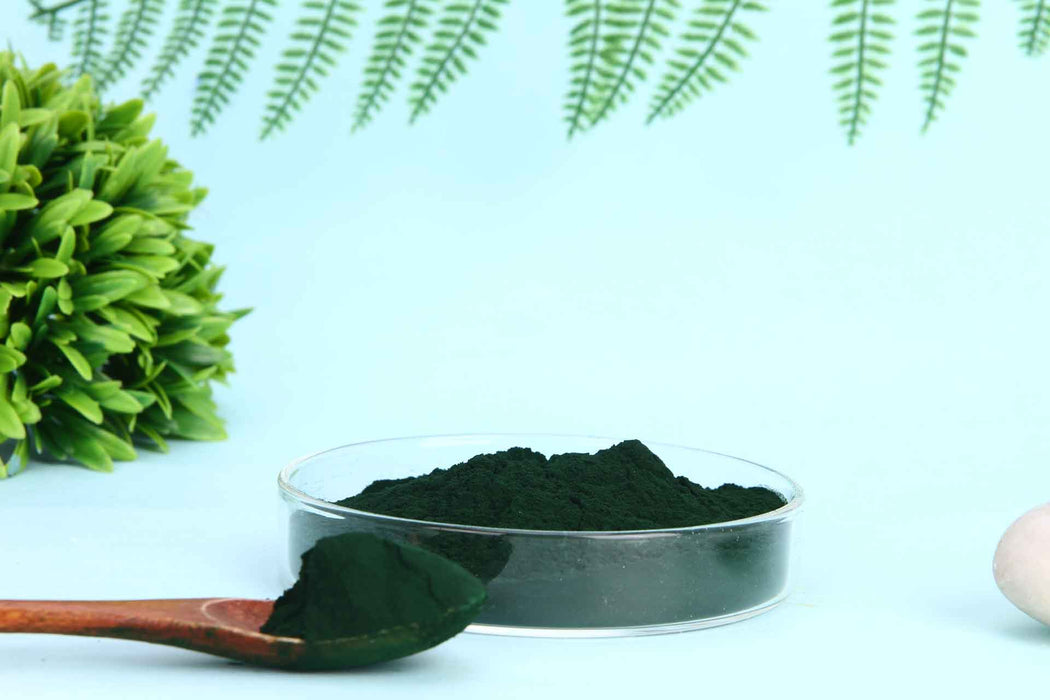 Laybio Natural wholesales chlorella powder