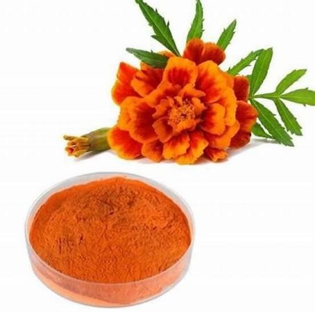 Marigold Flower Extract