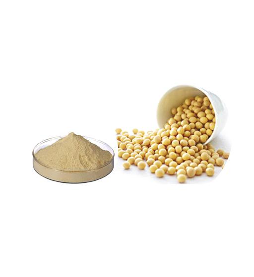 Phosphatidylserine Bulk Herbal Extracts Manufacturer and Supplier - Laybio Natural