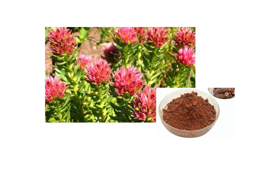 Organic Rosavins Rhodiola Extract