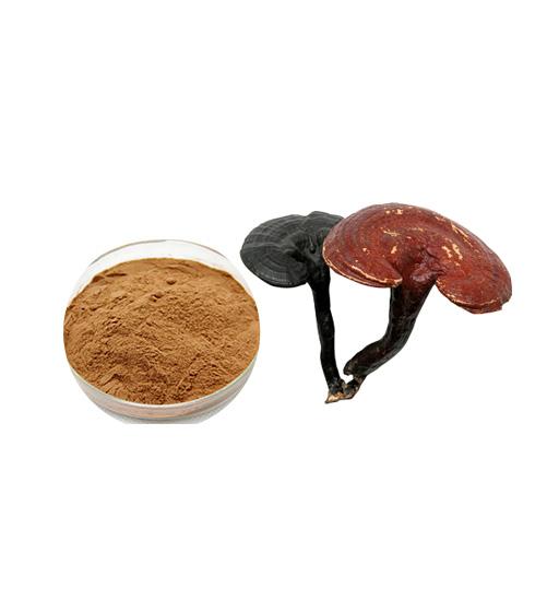 Introducing Laybio's Reishi Extract: The Pathway To Holistic Wellness