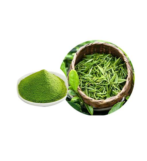 Mushroom Power with 95% EGCG & Matcha