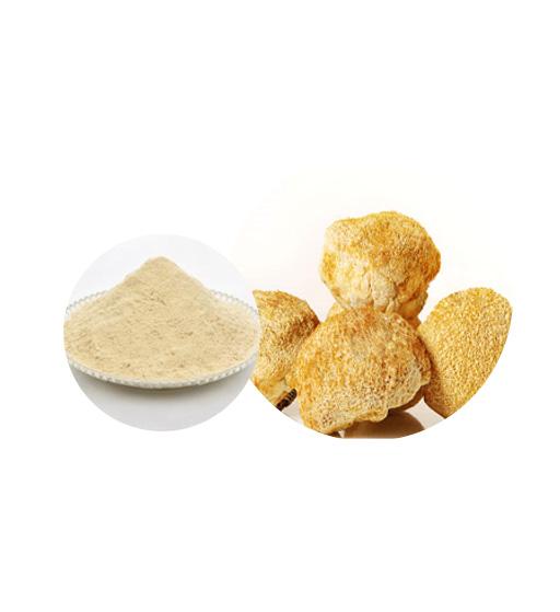 Hericium Erinaceus Mushroom Capsule