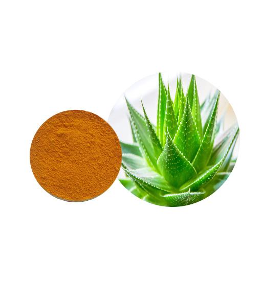 Aloe Vera Extract Bulk Herbal Extracts Manufacturer and Supplier - Laybio Natural
