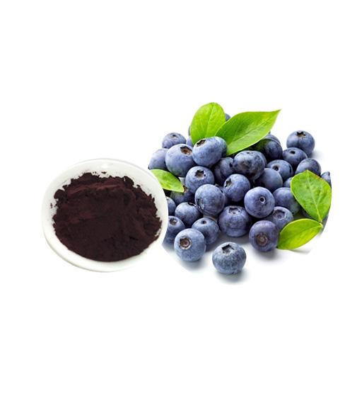 Bilberry Extract Bulk Herbal Extracts Manufacturer and Supplier - Laybio Natural