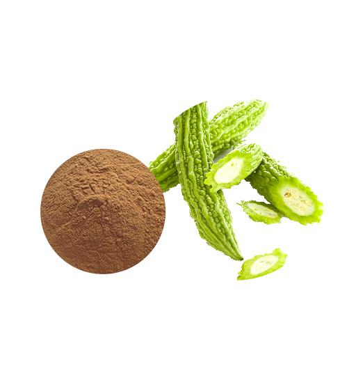 Bitter Melon Powder Bulk Vegetable Powder Manufacturer and Supplier - Laybio Natural