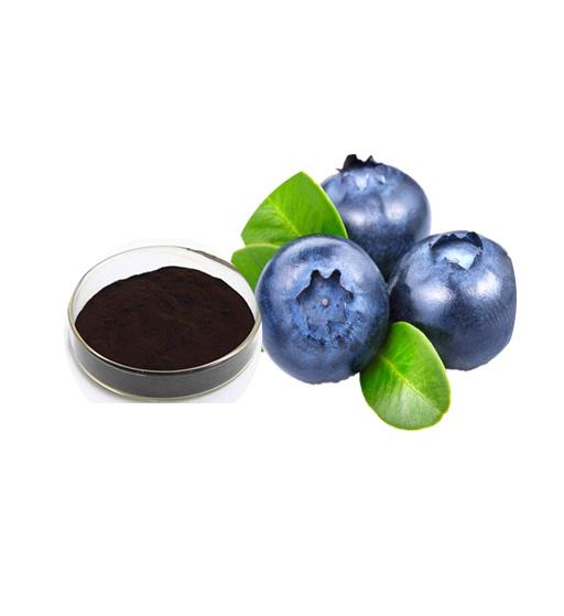 Blueberry Juice Powder Bulk Fruit Juice Powder Manufacturer and Supplier - Laybio Natural