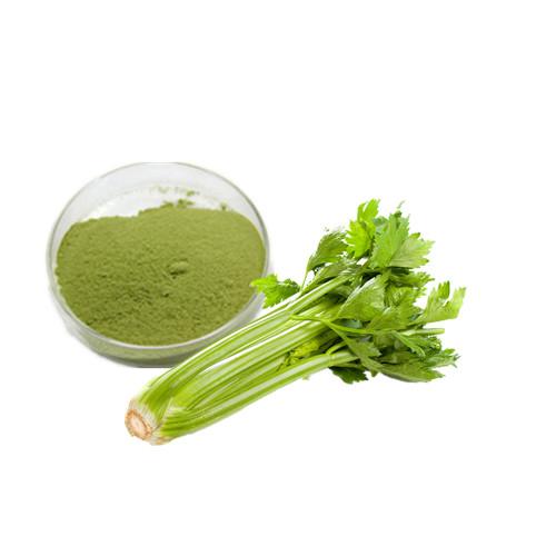 Celery Powder Bulk Vegetable Powder Manufacturer and Supplier - Laybio Natural