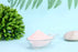 Laybio Natural wholesales cherry powder