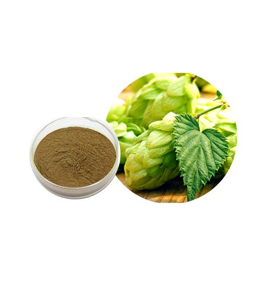 Hops Extract Bulk Herbal Extracts Manufacturer and Supplier - Laybio Natural
