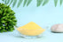 Laybio Natural wholesales mango powder
