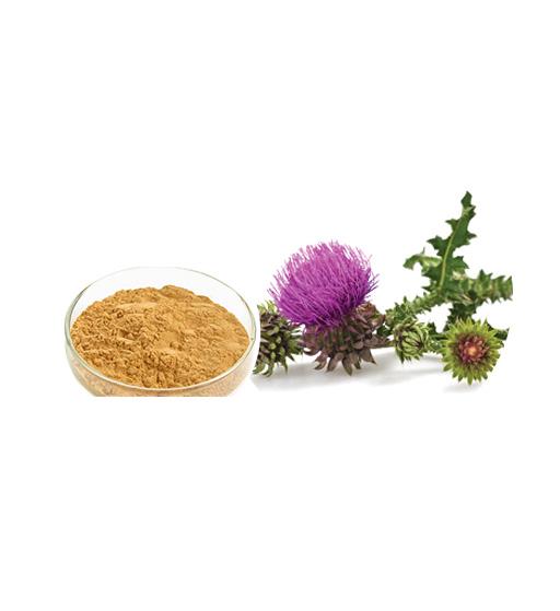 Milk Thistle Extract Bulk Herbal Extracts Manufacturer and Supplier - Laybio Natural