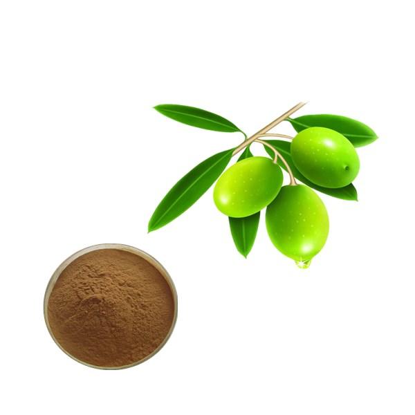 Olive Leaf Extract Bulk Herbal Extracts Manufacturer and Supplier - Laybio Natural