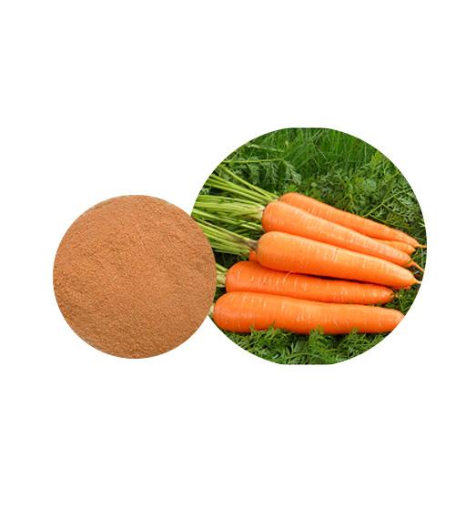 Organic Carrot Powder Supplier | Manufacturer — Laybio