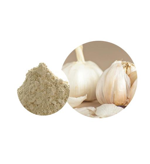 Organic Garlic Powder Bulk Vegetable Powder Manufacturer and Supplier - Laybio Natural