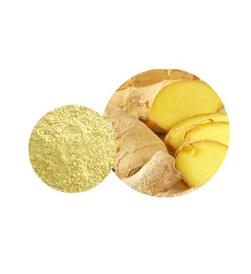 Organic Ginger Powder Bulk Vegetable Powder Manufacturer and Supplier - Laybio Natural