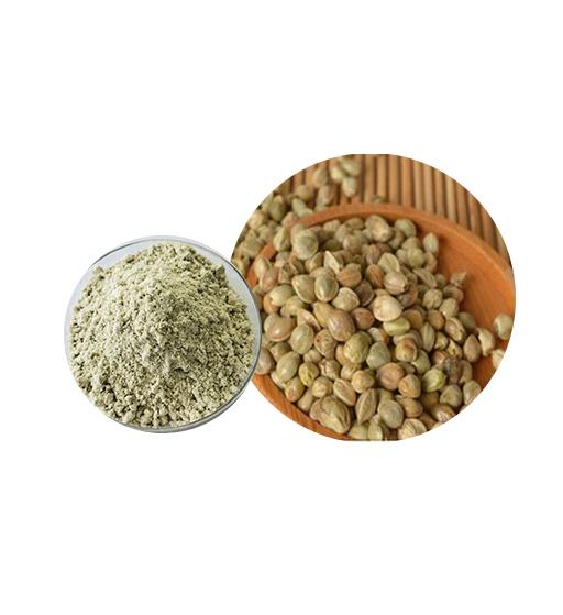 Organic Hemp Protein Bulk Organic Plant Protein Manufacturer and Supplier - Laybio Natural
