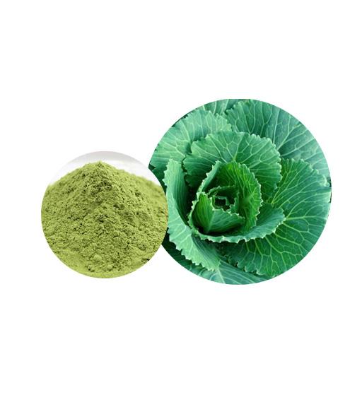 Organic Kale Powder Bulk Vegetable Powder Manufacturer and Supplier - Laybio Natural