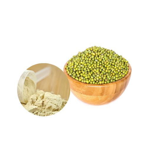 Organic Mung Bean Protein  Bulk Organic Plant Protein Manufacturer and Supplier - Laybio Natural