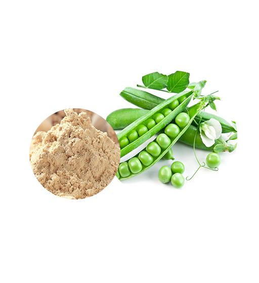 Organic Pea Protein Bulk Organic Plant Protein Manufacturer and Supplier - Laybio Natural