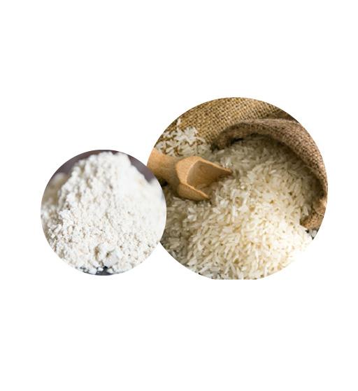 Organic Rice Protein Supplier | Manufacturer — Laybio