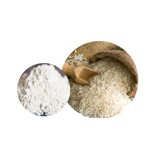 Organic Rice Protein Bulk Organic Plant Protein Manufacturer and Supplier - Laybio Natural