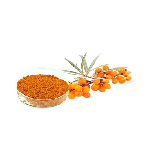 Organic Seabuckthorn Juice Powder Supplier Bulk Fruit Juice Powder Manufacturer and Supplier Laybio Natural