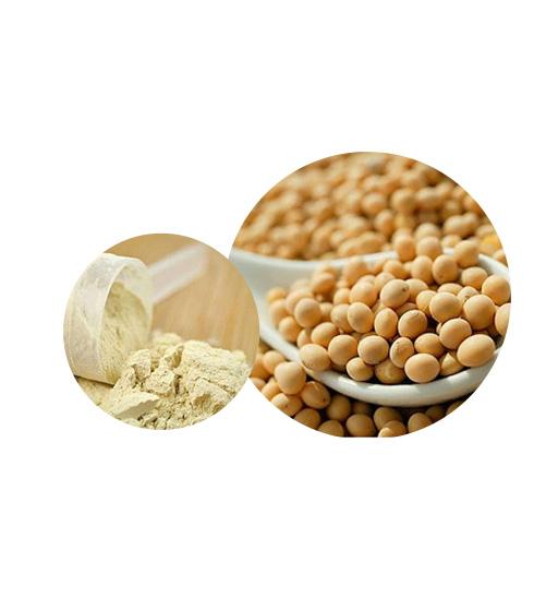 Organic Soy Protein Bulk Organic Plant Protein Manufacturer and Supplier - Laybio Natural
