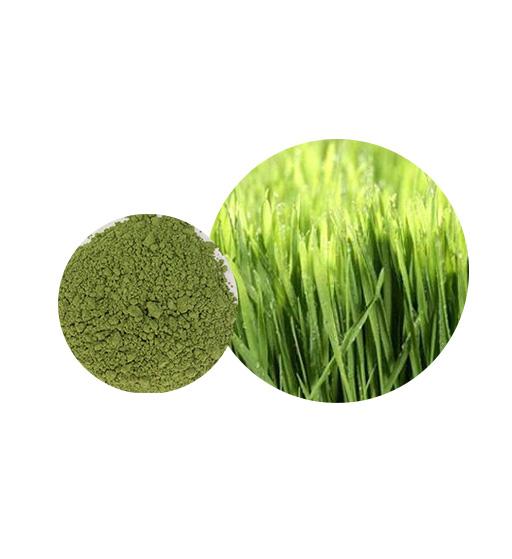 Organic Wheat Grass Powder Bulk Vegetable Powder Manufacturer and Supplier - Laybio Natural