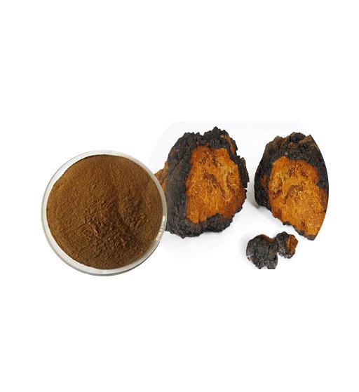 Organic Chaga Mushroom Extract Bulk Mushroom Extract Manufacturer and Supplier - Laybio Natural