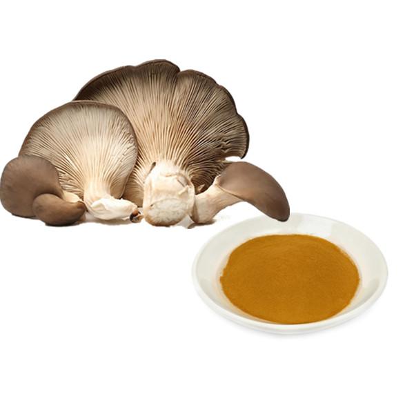 Organic Oyster Mushroom Extract Bulk Mushroom Extract Manufacturer and Supplier - Laybio Natural