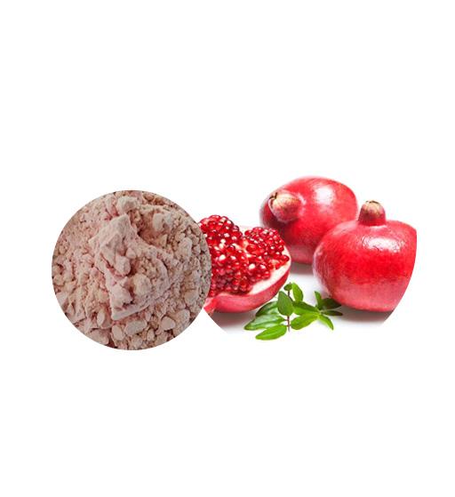 Organic Pomegranate Juice Powder Bulk Fruit Juice Powder Manufacturer and Supplier - Laybio Natural