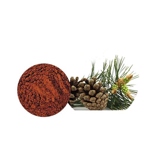 Pine Bark Extract Bulk Herbal Extracts Manufacturer and Supplier - Laybio Natural
