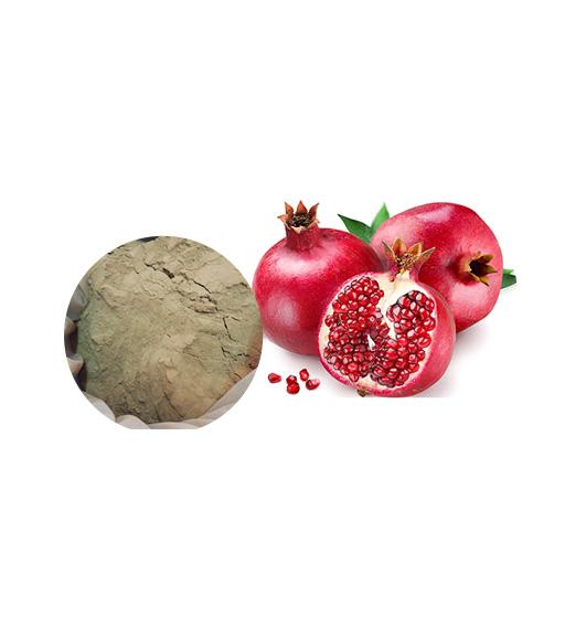 Pomegranate Extract Bulk Herbal Extracts Manufacturer and Supplier - Laybio Natural