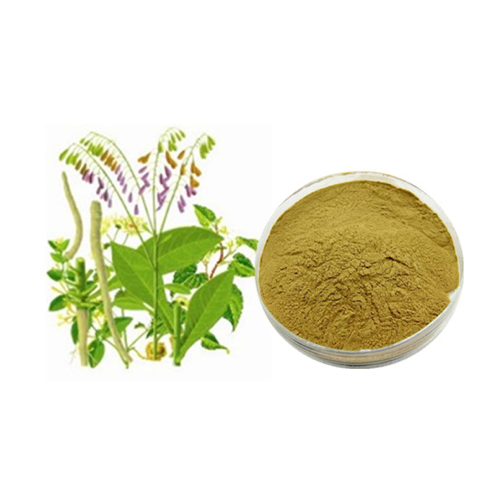 Radix Isatidis Extract