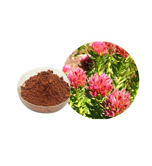 Rhodiola Rosea Extract Bulk Herbal Extracts Manufacturer and Supplier - Laybio Natural