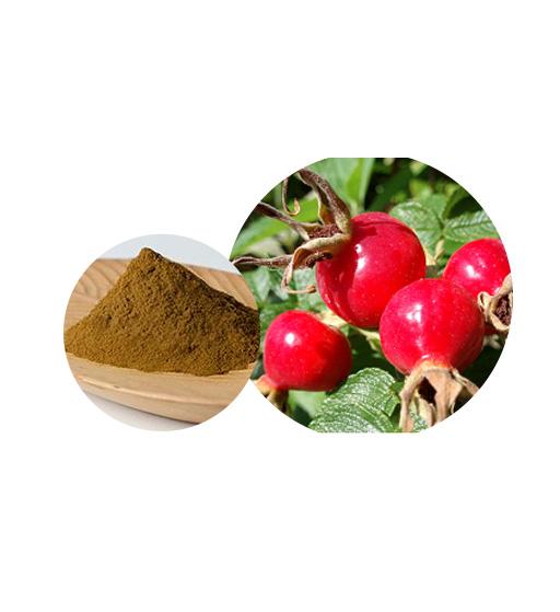 Rosehips Extract Bulk Herbal Extracts Manufacturer and Supplier - Laybio Natural