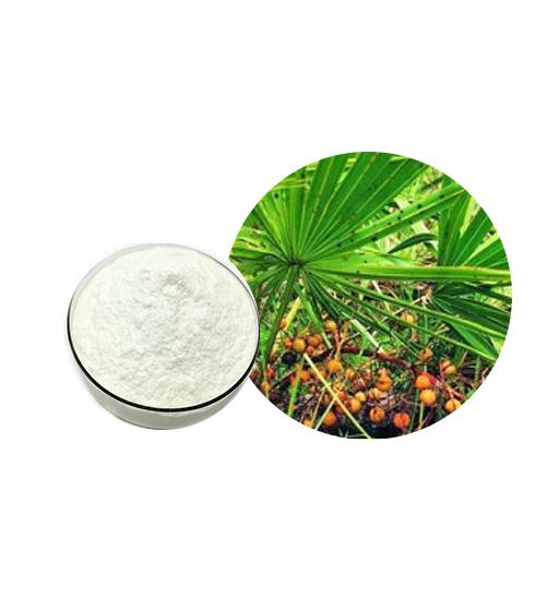 Saw Palmetto Extract Bulk Herbal Extracts Manufacturer and Supplier - Laybio Natural