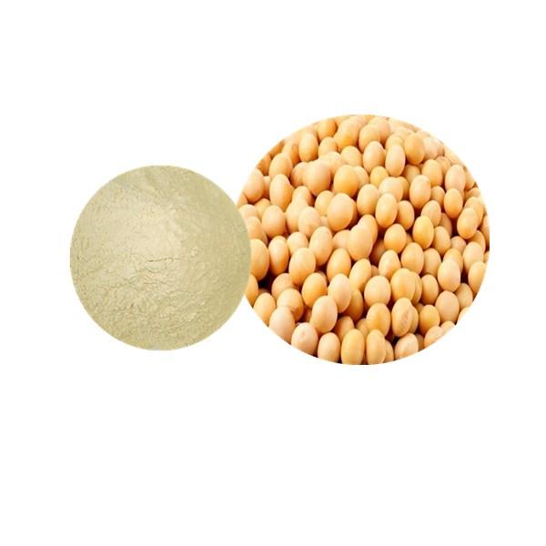 Soybean Powder Bulk Herbal Extracts Manufacturer and Supplier - Laybio Natural