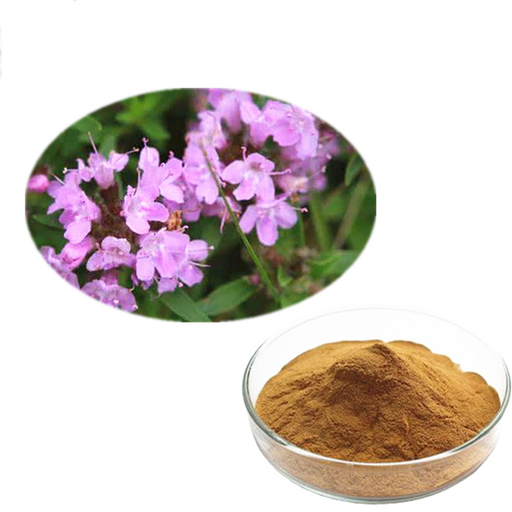 Thyme Extract Thymol