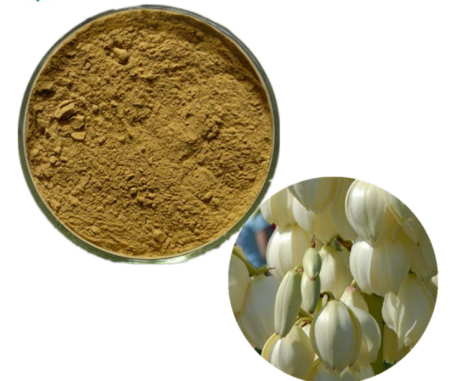 Yucca Extract(30%~60%Saponins)