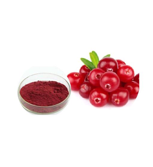 Cranberry Powder Bulk Herbal Extracts Manufacturer and Supplier - Laybio Natural