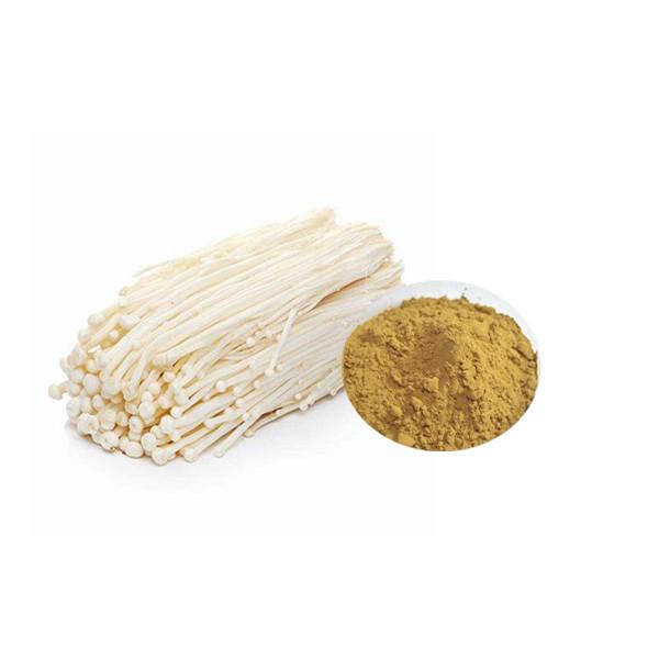 Enoki Mushroom Extract Bulk Mushroom Extract Manufacturer and Supplier - Laybio Natural